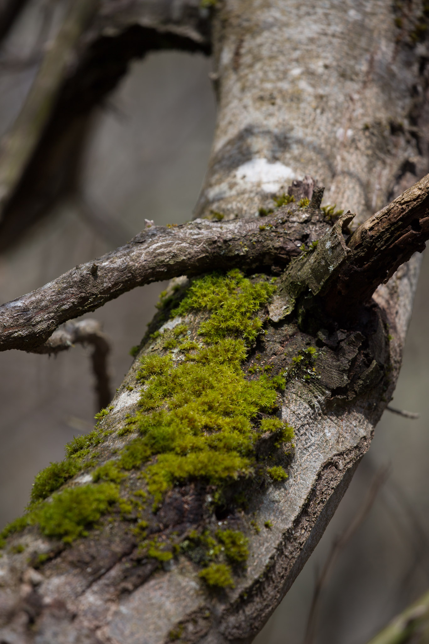 20220409144608 3K6A1911